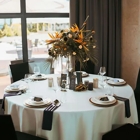 Mercure Cieszyn (Silesia)