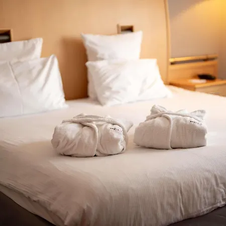 Mercure Cieszyn (Silesia)