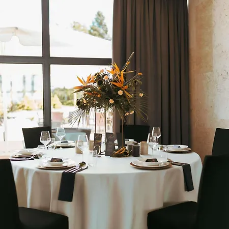 Mercure Cieszyn (Silesia)