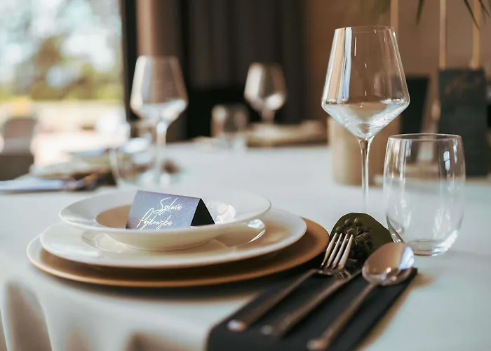 מלון Mercure צ'שין